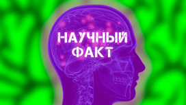 Научный факт. "Генетическое тестирование родителей позволяет выявить риски"